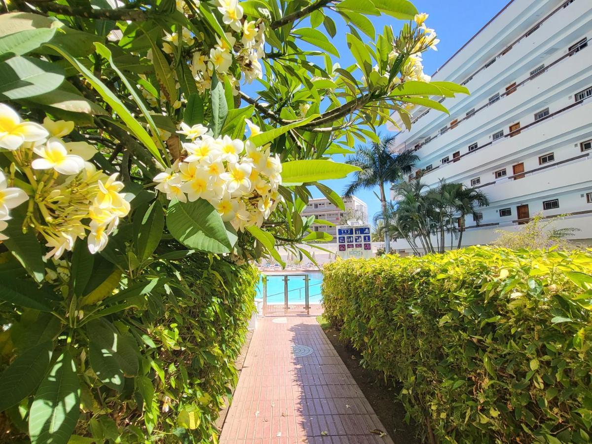 Las Camelias Apartments Плайя-дель-Інглес Екстер'єр фото